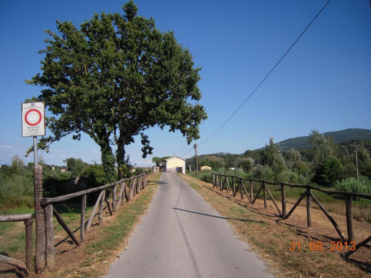 Al Cascinale Villa Lucca Ngoại thất bức ảnh